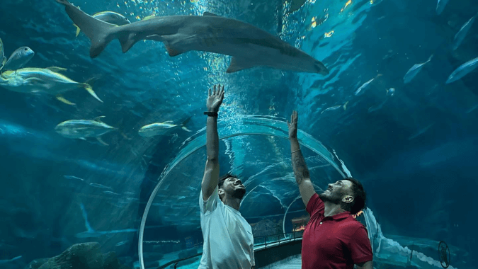 Explore AquaRio, the largest marine aquarium in South America.