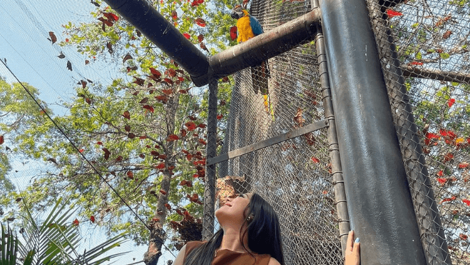 Descubra a fauna única do Bioparque Rio em um passeio inesquecível.