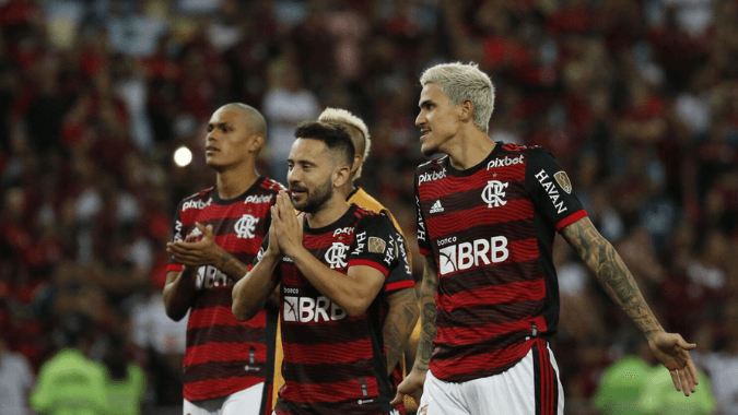 Enjoy an unforgettable Flamengo match in Rio with local fans and excitement