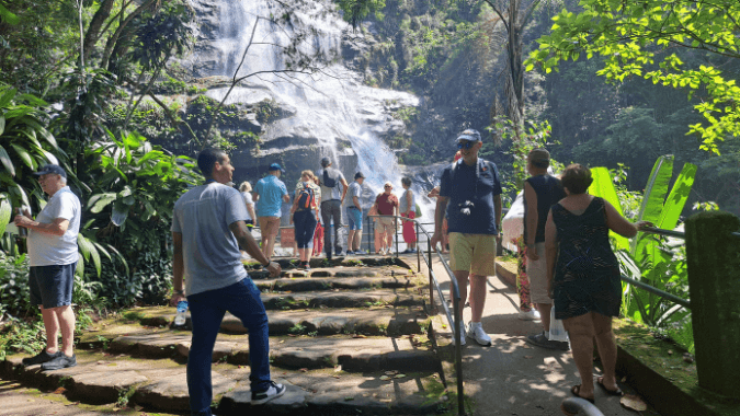 Explore trails, waterfalls, and local wildlife on this eco-adventure through Tijuca.