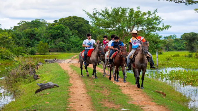 Pôr do sol no Pantanal Norte durante nosso tour de 5 dias com hospedagem e passeios guiados. Pôr do sol no Pantanal Norte durante nosso tour de 5 dias com hospedagem e passeios guiados.