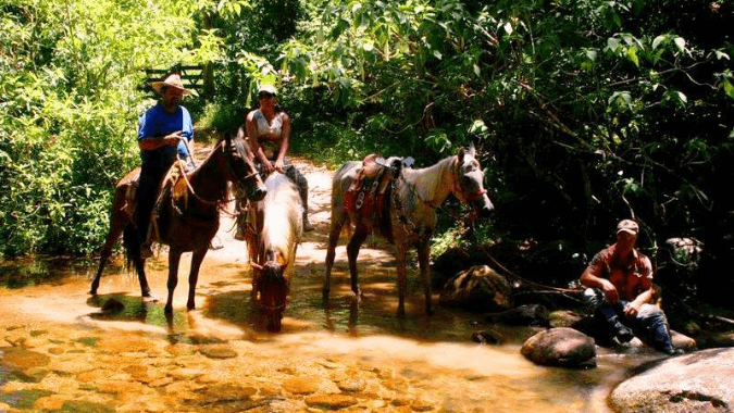 Balade à cheval à Paraty, Serra da Bocaina – aventure en forêt atlantique