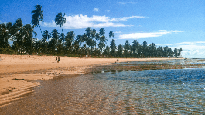 Tour de un día a Praia do Forte y Playa de Guarajuba desde Salvador