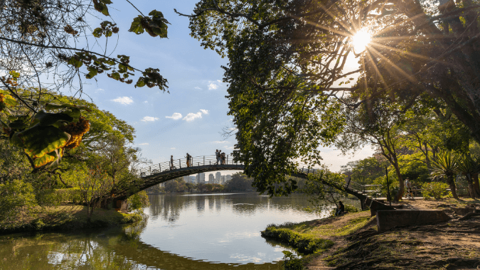 Escala en São Paulo: paseo exprés por la Avenida Paulista y miradores